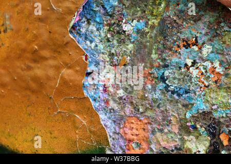 Detailed close up view on weathered concrete and cement cracked wall textures Stock Photo
