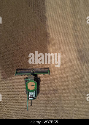 Aerial nadir view of combine harvester harvesting wheat in large paddock Eyre Peninsula South Australia Stock Photo