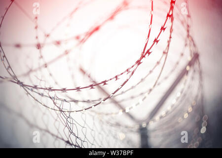 Metal mesh fence, which is wound on top of a spiral barbed wire, highlighted in red light. The image is about crime, and the red color means danger an Stock Photo