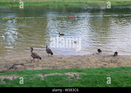 The reopened Beckenham Place Park with newly created 283m lake and beach, ancient woodlands, grasslands and mansion with bar, cafe and community rooms Stock Photo