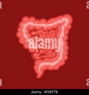 Medicine, biology concept. Large intestine, part of the digestive system. Gastrointestinal tract Stock Vector