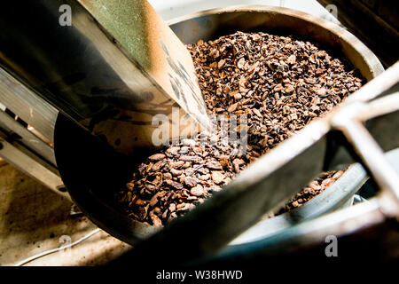 Cacao beans in Chocolate Factory Stock Photo