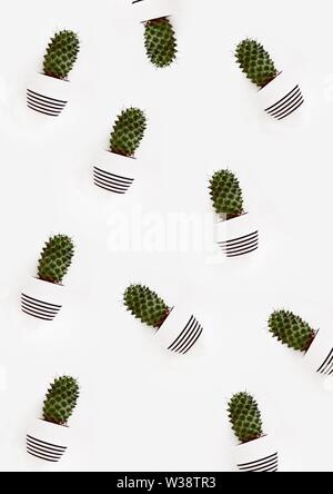 Abstract beautiful wallpaper with cactuses or cacti in striped pots on a white background Stock Photo