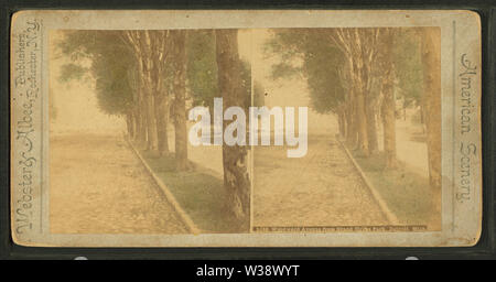 Woodward Avenue from Grand Circus Park, from Robert N Dennis collection of stereoscopic views Stock Photo