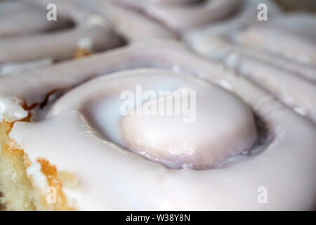iced cinnamon rolls in the USA United States of America Stock Photo