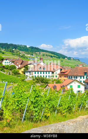 Beautiful village Rivaz in Lavaux wine region, Vaud, Switzerland. Village located by famous Geneva Lake. Swiss rural area, countryside. Amazing terraced vineyards on slopes. Nature, travel, Europe. Stock Photo