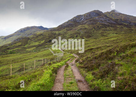 A deer fence in Glen Affric erected in an attempt to restore the old Caledonian Pine Forest. Stock Photo