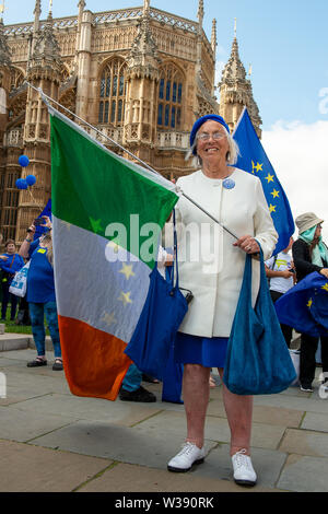 Westminster, London, UK. 26th June, 2019.  A lady holds a Republic of Ireland Flag as part of the Brexit Remain Campaign outside Westminster Abbey. Credit: Maureen McLean/Alamy Stock Photo