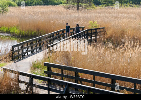 Visitors at WWT London Wetland Centre in the Barnes, London, England, United Kingdom, UK Stock Photo
