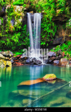 Stream of Tamborine mountain national park waterfall falling down to a pool of fresh cold clean water in evergreen rainforest. Stock Photo