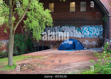 Manchester, United Kingdom - April 25, 2019: Contradictions of urban 21st century Manchester- two geese graze near a tent hosting homeless people by t Stock Photo