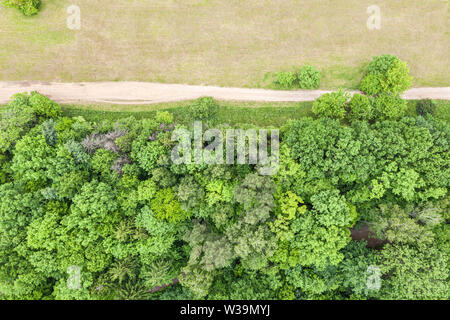 aerial top view of country road. green fresh deciduous trees growing alongside Stock Photo