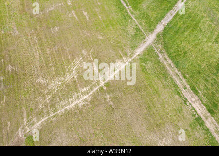 aerial top view of footpath in green field. country dirt road among green meadows. rural background