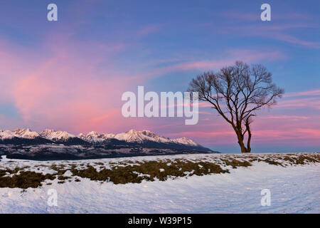 Mountains panorama from the High Tatras, Slovakia Beautiful winter mountain landscape with colorful clouds after sunrise. Wonderful mountains backgrou Stock Photo