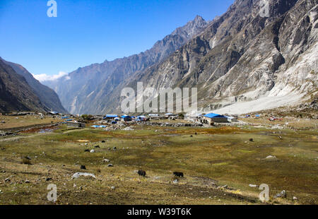 Langtang village (3430m) with beautiful landscape and blue sky in the distant horizon. Stock Photo