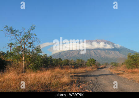 A dusty road to the foot of the volcano Gunung Agung on Bali Island in Indonesia illuminated by the rays of the rising sun. Long shadows of trees.