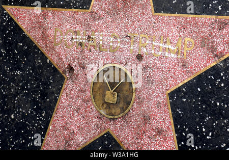 Hollywood, California, USA 13th July 2019 A general view of atmosphere of Donald Trumps Star on Hollywood Walk of Fame on July 13, 2019 on Hollywood Blvd in Hollywood, California, USA. Photo by Barry King/Alamy Stock Photo Stock Photo