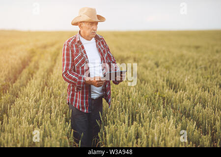 Farmer standing in a wheat field using modern technologies in agriculture.  Farmers with tablet in a wheat field. Stock Photo