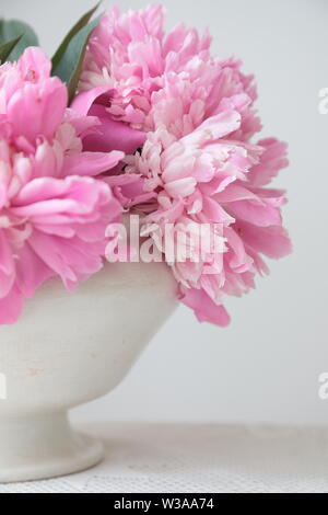Pink peony flowers in a white bowl on a white table. White background. Still life. Light morning light in white interior. Stock Photo