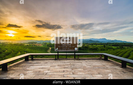 Beautiful sunsets at Chui Fong Tea Plantation, Chiang Rai Province North of Thailand Stock Photo