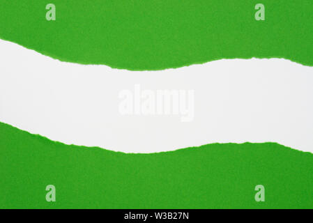 pieces of green color paper on white background with copy space Stock Photo