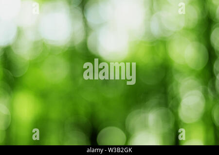 Abstract image. Blurry lights on green background. Stock Photo
