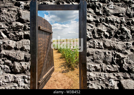 Gate in an Opium poppy field, Germerode, Werra-Meissner district, Hesse, Germany, photomontage Stock Photo