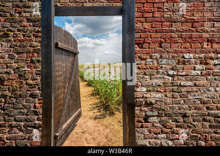 Gate in an Opium poppy field, Germerode, Werra-Meissner district, Hesse, Germany, photomontage Stock Photo