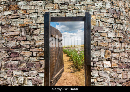 Gate in an Opium poppy field, Germerode, Werra-Meissner district, Hesse, Germany, photomontage Stock Photo