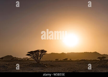 Golden sunset over the mountains in the wild desert. RAK, UAE, Jun.2018 Stock Photo