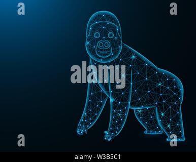 Gorilla low poly model, African animal polygonal wireframe vector illustration on dark blue background Stock Vector
