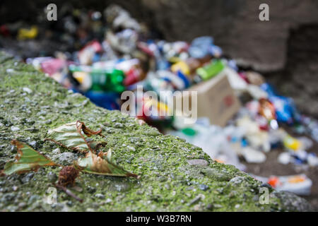 Fallen dried leaf and a bunch of garbage in the background. Environmental pollution Stock Photo