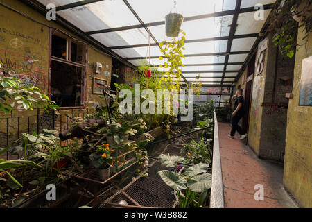 BUDAPEST, HUNGARY - April 09, 2019: Winter garden with a dense forest of indoor plants in Szimpla kert ruin pub. Stock Photo