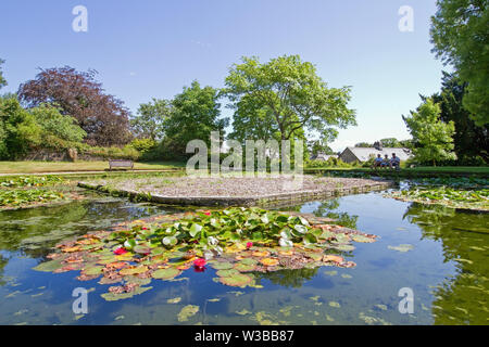 Resting by the lily pond at Cotehele House, a National Trust property in the Tamar Valley, Cornwall Stock Photo