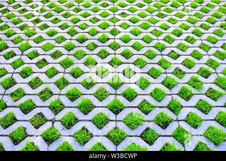 Green grass grows from decorative paving slabs Stock Photo