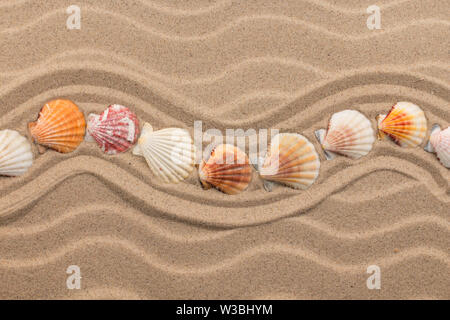 Sea shells in the form of a zigzag lies on the dunes. With space for design, text place. Top view Stock Photo