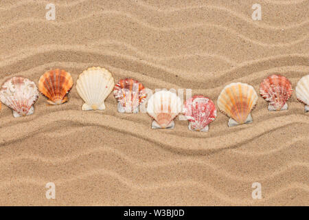 Sea shells in the form of a zigzag lies on the dunes. With space for design, text place. Top view Stock Photo