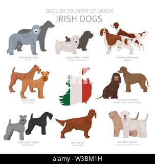 Dogs by country of origin. Irish dog breeds. Shepherds, hunting, herding, toy, working and service dogs  set.  Vector illustration Stock Vector