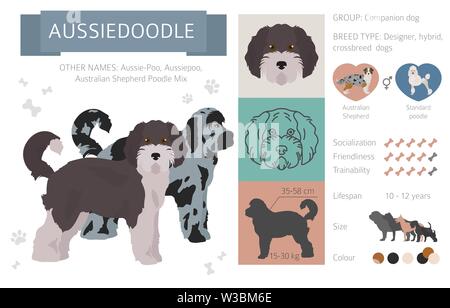 Designer, crossbreed, hybrid mix dogs collection isolated on white. Flat style clipart set. Vector illustration Stock Vector