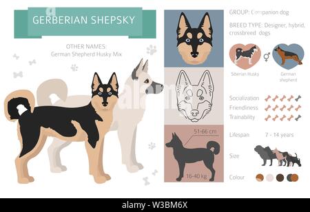 Designer, crossbreed, hybrid mix dogs collection isolated on white. Flat style clipart set. Vector illustration Stock Vector