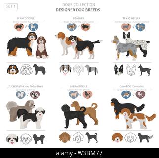 Designer dogs, crossbreed, hybrid mix pooches collection isolated on white. Flat style clipart set. Vector illustration Stock Vector