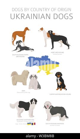 Dogs by country of origin. Ukrainian dog breeds. Shepherds, hunting, herding, toy, working and service dogs  set.  Vector illustration Stock Vector