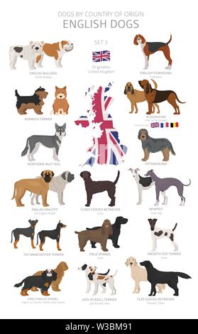 Dogs by country of origin. English dog breeds. Shepherds, hunting ...