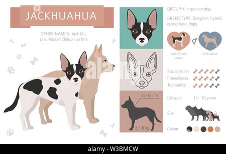 Designer, crossbreed, hybrid mix dogs collection isolated on white. Flat style clipart set. Vector illustration Stock Vector