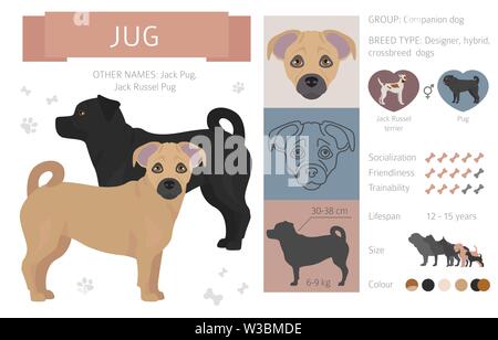 Designer, crossbreed, hybrid mix dogs collection isolated on white. Flat style clipart set. Vector illustration Stock Vector