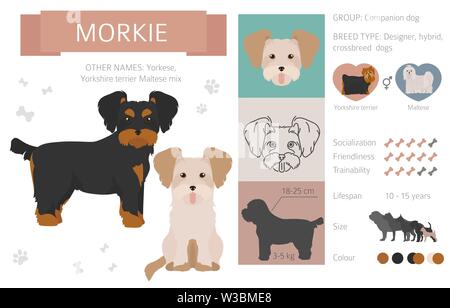 Designer, crossbreed, hybrid mix dogs collection isolated on white. Flat style clipart set. Vector illustration Stock Vector