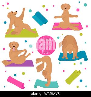 Yoga dogs poses and exercises. Golden retriever clipart. Vector illustration Stock Vector