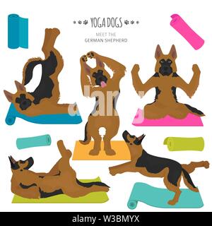 Yoga dogs poses and exercises. German shepherd clipart. Vector illustration Stock Vector