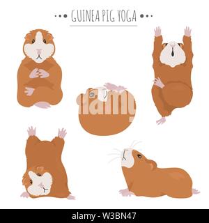 Guinea pig yoga poses and exercises. Cute cartoon clipart set. Vector illustration Stock Vector