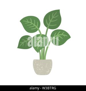Houseplant with potted. Vector illustration isolated. EPS10 Stock Vector
